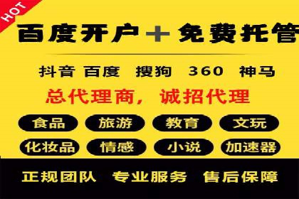 SEM优化策略：实战案例解析